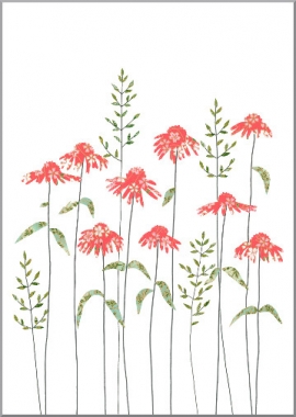 Grusskarte Echinacea