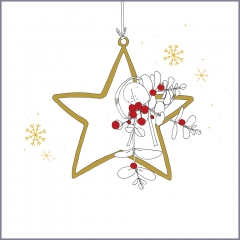 Weihnachtskarte Stern